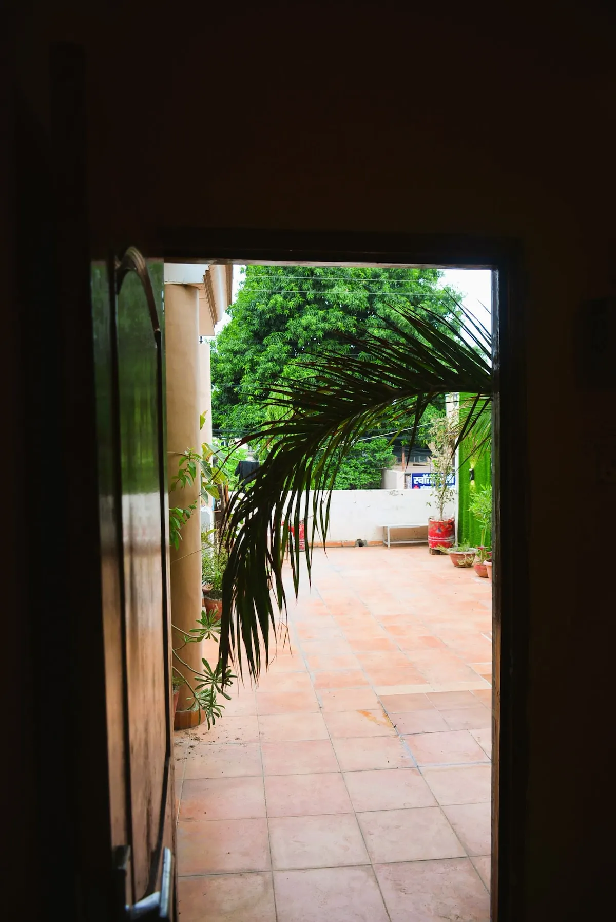 A doorway at the Garden Studio opening onto a private porch and palm fronds